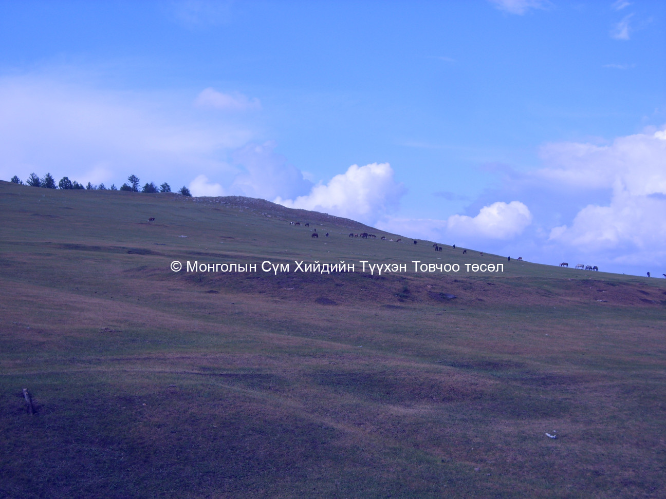 Хойд тал нь 